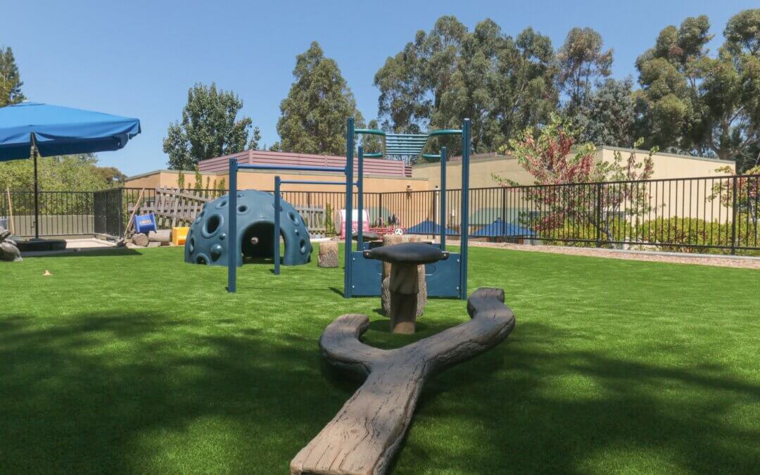 Natural Grass vs. Artificial Turf in Manteca: Which is Safer for Kids?